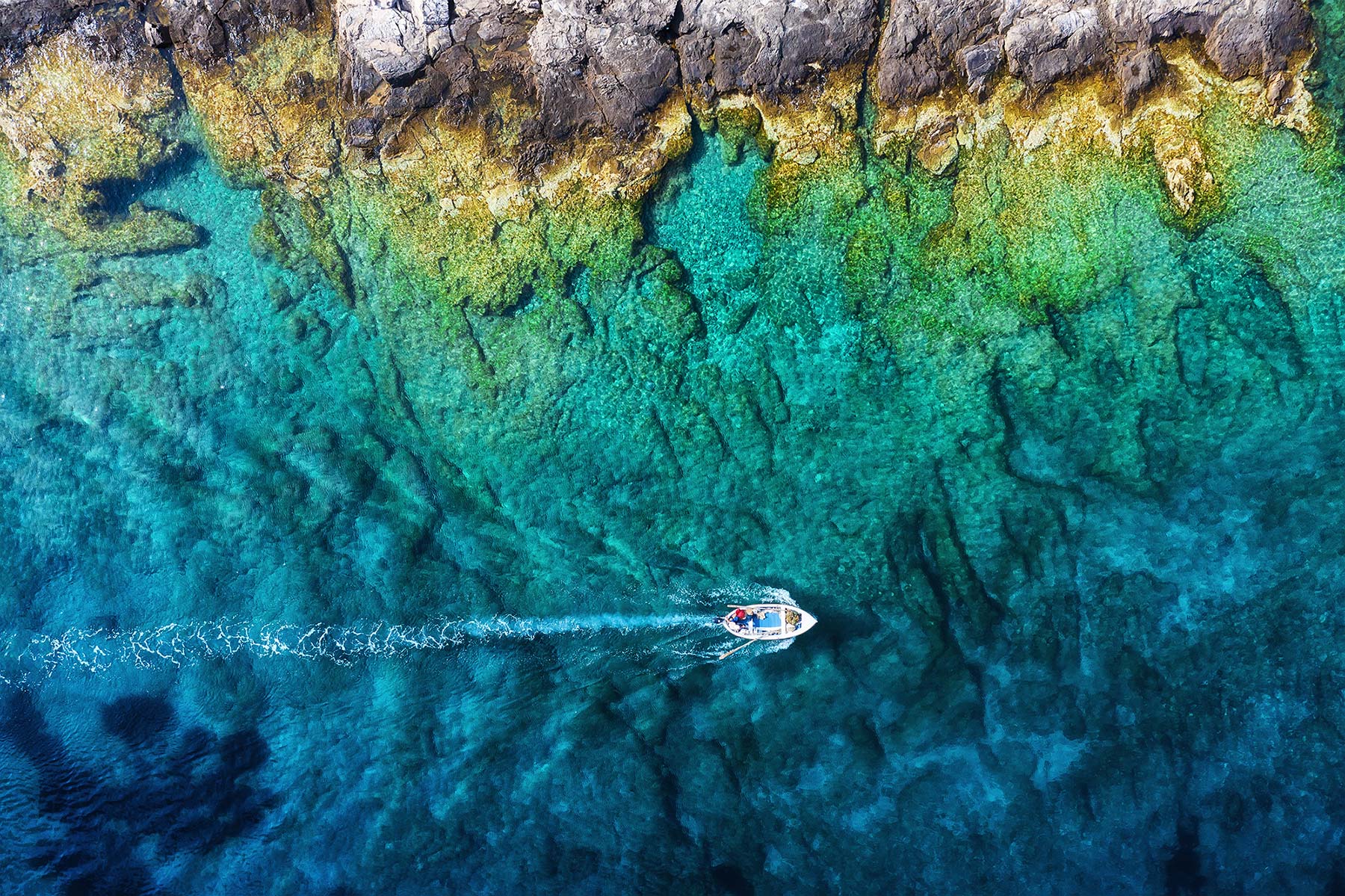 Fishing vessel on calm open sea — golden hour light, warm ocean tones, traditional maritime setting