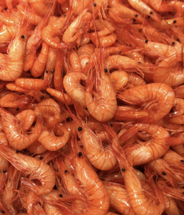 Fisheries industry member — coastal professional environment, overcast natural light