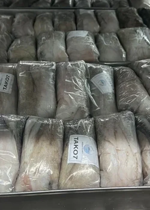 Seafood export partner — well-lit professional setting, cooperative business meeting atmosphere