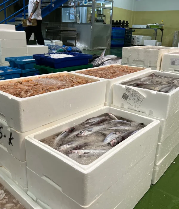 Global seafood distribution partner — professional indoor setting, warm ambient lighting